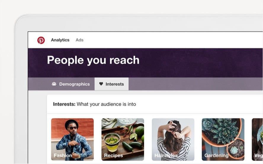 Audience Pinterest